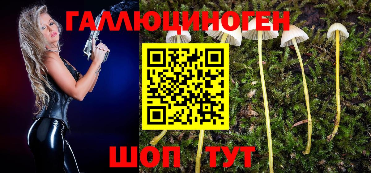 Кемерово  Галлюциногенные грибы Psilocybe  Вход с VPN 