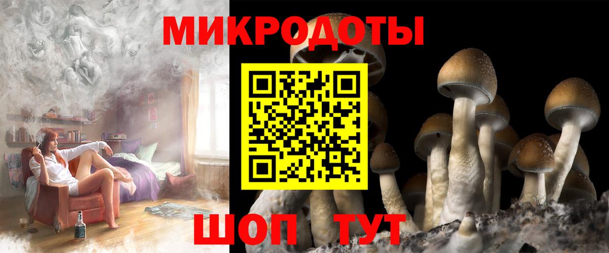 Галлюциногенные грибы Magic Shrooms Кемерово